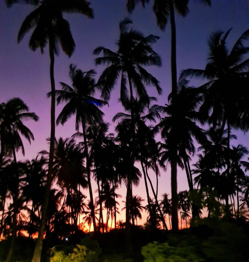 Beachfront Villa Ladha Ya Zanzibar จัมเบียนี ภายนอก รูปภาพ