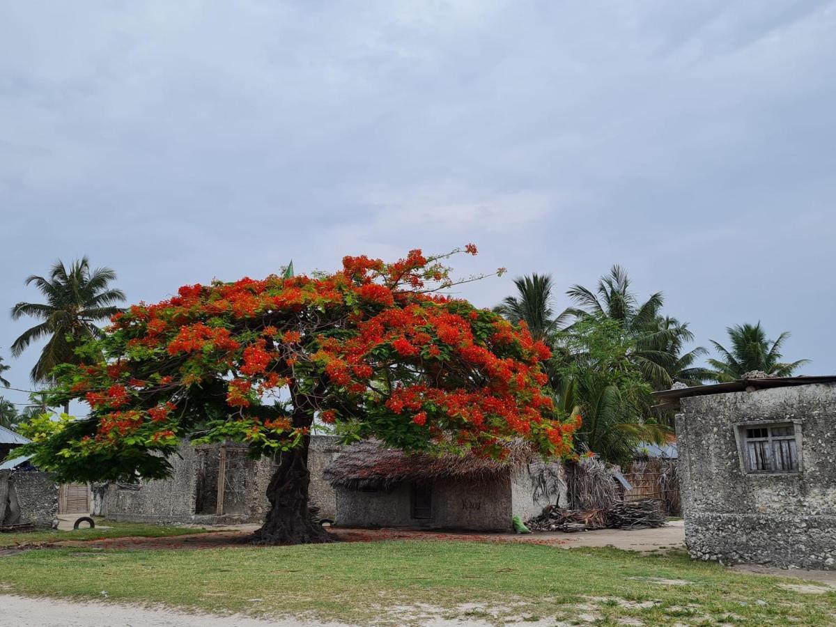 Beachfront Villa Ladha Ya Zanzibar จัมเบียนี ภายนอก รูปภาพ