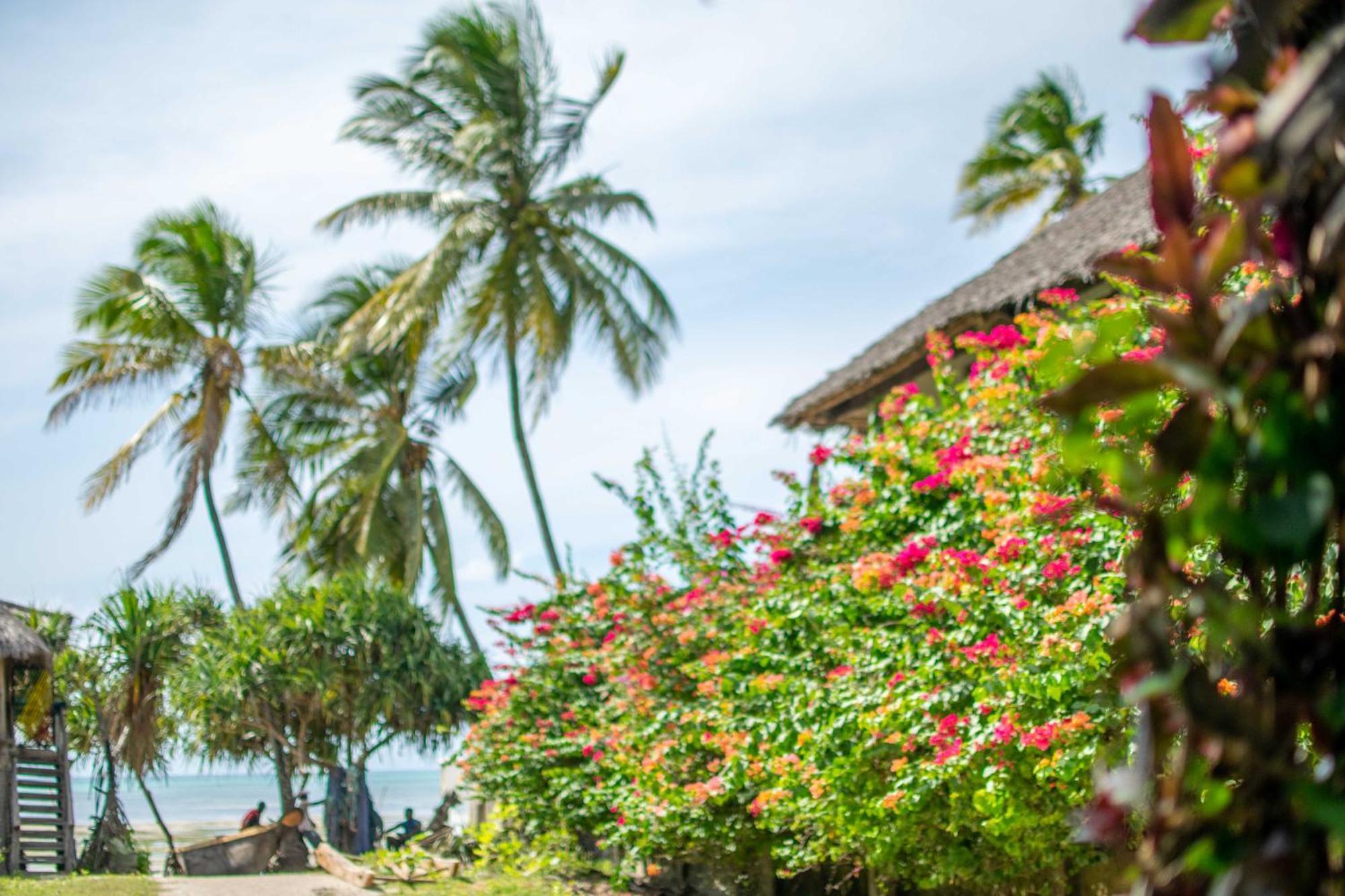 Beachfront Villa Ladha Ya Zanzibar จัมเบียนี ภายนอก รูปภาพ